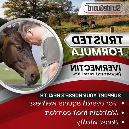 Horse Ivermectin Paste 1.87% Apple Flavored Oral Dewormer Syringe