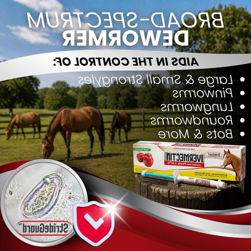 Horse Ivermectin Paste 1.87% Apple Flavored Oral Dewormer Syringe